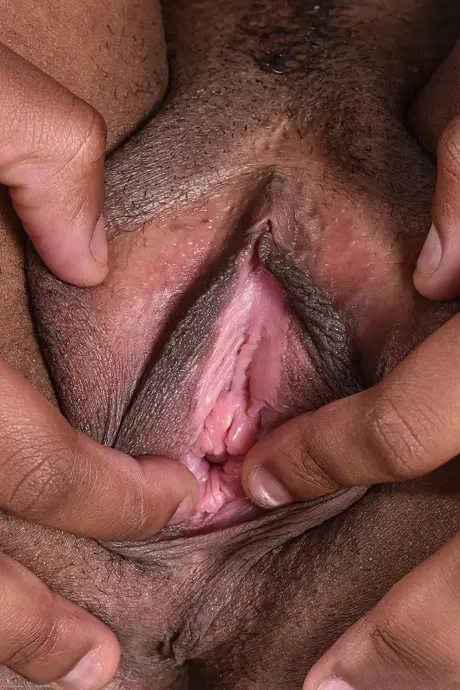 Ashley Pink, la charmante femme noire, écarte sa chatte soigneusement taillée en gros plan