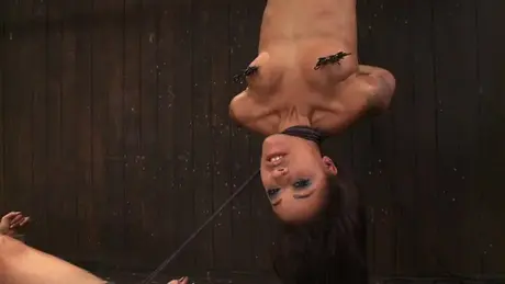 Naga kobieta w zawieszeniu bondage pokryta pszczołami