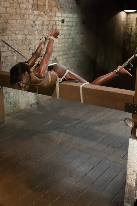 Ana Foxxx, tmavá nadšenkyně do BDSM, má na svou exotickou pičku nasazený hák a je vibrována