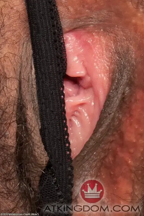 Sofie Taylor, a MILF gostosa com um bundão, mostra sua boceta peluda de perto