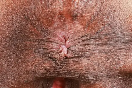 ATK Exotics präsentiert Hazel Grace in einer heißen XXX-Szene