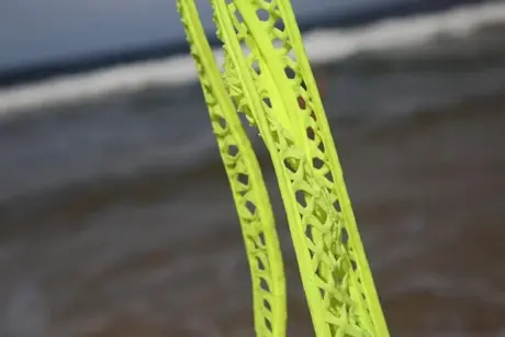 Una ragazza si toglie il costume da bagno in spiaggia mentre indossa un butt plug