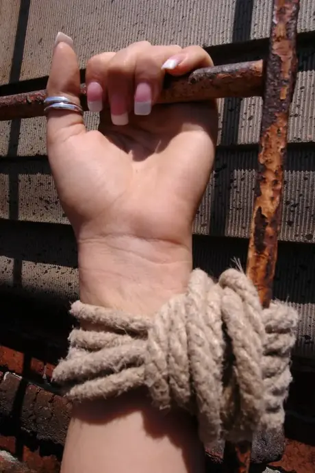 Brook Scott, a beleza curvilínea, está amarrada e monta um enorme consolo negro num telhado