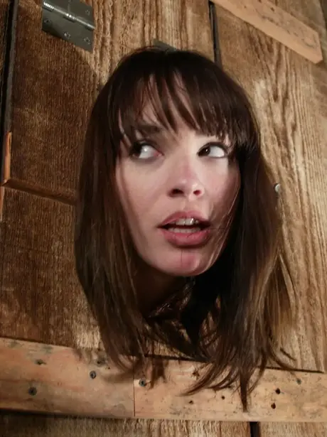 Dana DeArmond: beleza americana submissa humilhada e foda com força