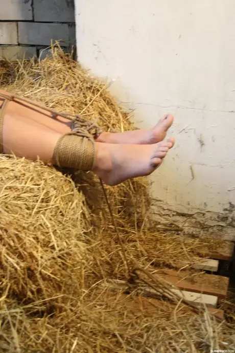 Amatörbrunetten Erika fastbunden i en stallbox medan hennes stora bröst greppas